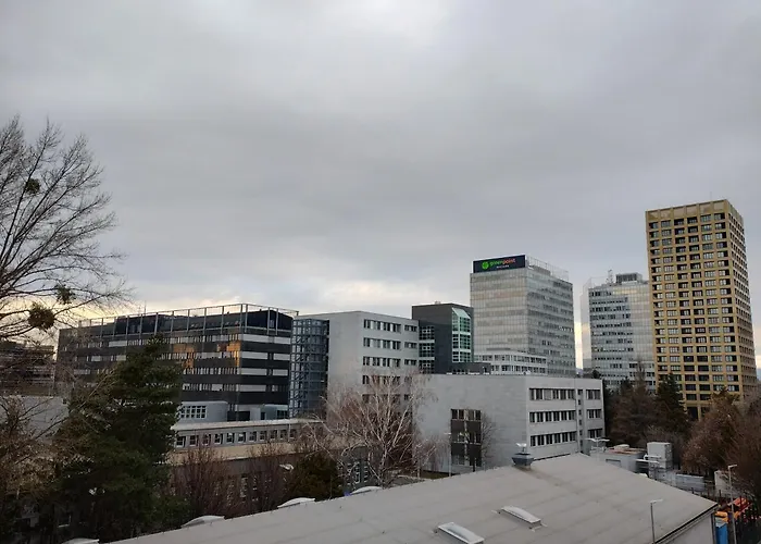 アパート Elegant Near Downtown