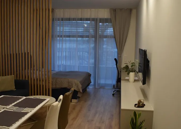 Elegant Near Downtown